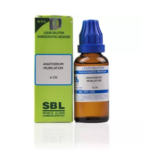SBL Anatherum Muricatum Dilution (30ml) For Facial Bone Pains, Warts, Swollen Tonsils, Breast Swollen, Nausea