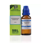SBL Apomorphinum Muriaticum Dilution (30ml) For Vomiting with Headache, Pregnancy Vomit, No Pain, Weakness