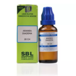 SBL Aranea Diadema Dilution (30ml) For Bone, Spleen Enlarged, Pain in Menses, Toothache, Nerve Pains