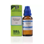 SBL Bryophyllum Calycinum Dilution (30ml) For Kidney Calculi, Stones, Urinary Insufficiency, Joint Pains