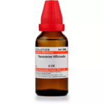 Willmar Schwabe India Taraxacum Officinale Dilution (30ml) For Itching Eruptions, Spleen Remedy