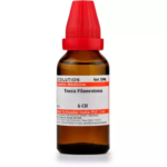 Willmar Schwabe India Yucca Filamentosa Dilution (30ml) For Vomiting, Jaw Joint Pains
