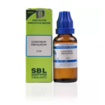 SBL Eupatorium Perfoliatum Dilution (30ml) For Bone Pains, Heel Pain, Muscle Pains, Gouty Swellings on Body, Headache