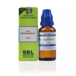 SBL Kali Permanganicum Dilution (30ml) For Soreness of Throat, Swelling, Profuse Urine, Warts on Nose