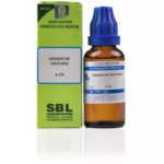 SBL Oenanthe Crocata Dilution (30ml) For Convulsions with Tremors & Teeth Grinding at Night, Pupils Dilated