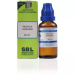 SBL Proteus Morgani Dilution (30ml) For Convulsion, Swellings, Piles, Congestion, Skin Itch, Muscle Spasm