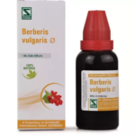 Willmar Schwabe India Berberis vulgaris Mother Tincture (Q) For Renal Calculi, Arthritic Pains