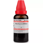 Willmar Schwabe India Boerhavia Diffusa Mother Tincture (Q) For Anemia, Swelling