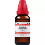 Willmar Schwabe India Echinacea Angustifolia Mother Tincture (Q) For Boosts Immunity System, Reduces UTI