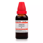 Willmar Schwabe India Fagopyrum Esculentum Mother Tincture (Q) For Burning Urine, Scalp Itchy