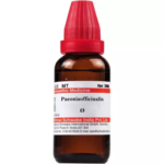 Willmar Schwabe India Paeonia Officinalis Tincture (Q) For Varicose Veins, Fissures, Piles