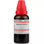 Willmar Schwabe India Raphanus Sativus Tincture (Q) For Sore Throat, Frequent Sneezing