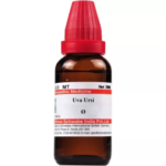 Willmar Schwabe India Uva Ursi Tincture (Q) For Cystitis, Burning While Passing Urine