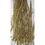 Attar Ayurveda's Chirata For Diabetes, Fever, Constipation, Loss Of Appetite, Skin Diseases