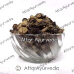 Attar Ayurveda's Kali Musli Raw For Joint Pain, Jaundice, Piles, Skin Disorders & Sexual Wellness