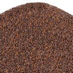 Attar Ayurveda's Krishna Tusli Beej For Digestion, Fevers, Sexual Wellness, Heart & Blood Circulation