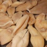 Attar Ayurveda's Suranjan Kadwi For Arthritis, Joint Pain, Sciatica, Osteoarthritis & Indigestion