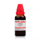 Willmar Schwabe India Cochlearia Armoracia Mother Tincture (Q) For Joint pain, Lungs affection
