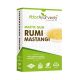 Attar Ayurveda's Mastic Gum (Rumi Mastagi) (Raw) 1