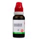 BJain Anacardium Occidentalis Q 30ML