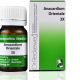 Dr Reckeweg Anacardium Orientale 3X