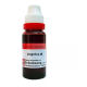 Dr Reckeweg Angelica Archangelica 1X (Q)