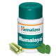 Himalaya Rumalaya (60 Tablets)
