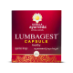 Kerala Ayurveda Lumbagest (100 Capsules) 1