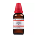 Willmar Schwabe India Berberis Aquifolium 1X (Q) (30ml)