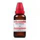 Willmar Schwabe India Blatta Orientalis 1X (Q) (30ml)