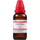 Willmar Schwabe India Carica papaya 1X (Q) (30ml)