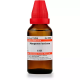 Willmar Schwabe India Manganum Aceticum 6 CH