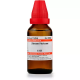 Willmar Schwabe India Zincum Picricum 6 CH