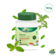 Zandu Stevia (Powder) (Meethi Tulsi) (100gm) 1